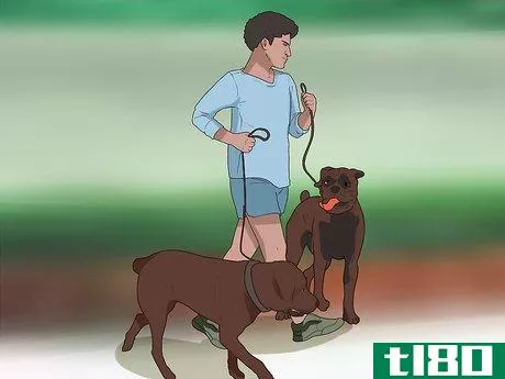 Image titled Become a Guide Dog Trainer Step 4