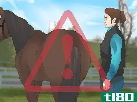 Image titled Be Safe Around Horses Step 14