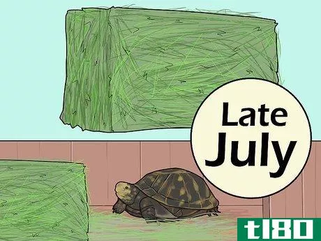 Image titled Care for a Hibernating Turtle Step 6