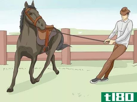 Image titled Break a Horse Step 23