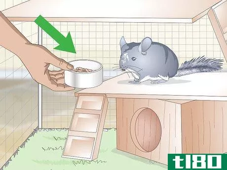 Image titled Care for Chinchillas Step 11