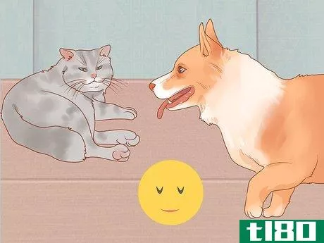 Image titled Be Nice to Your Pets Step 7