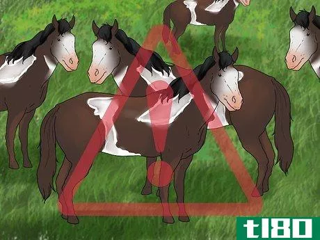 Image titled Be Safe Around Horses Step 19