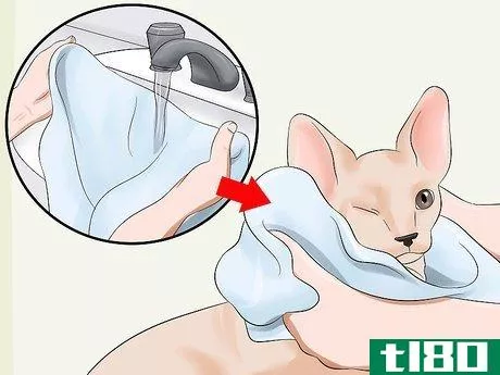Image titled Bathe a Sphynx Cat Step 7