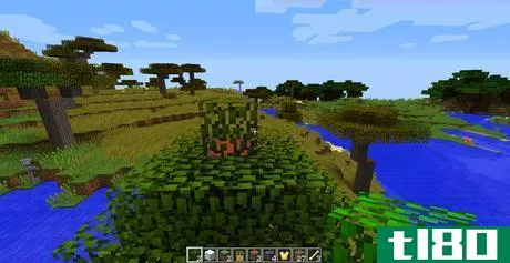 Image titled Build_Trees_in_Minecraft_Step_6.png
