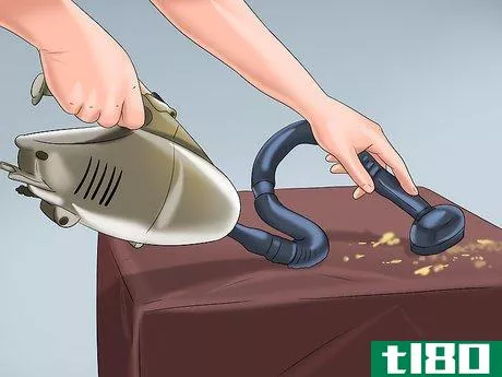 Image titled Avoid Getting Bitten by a Black Widow Step 6