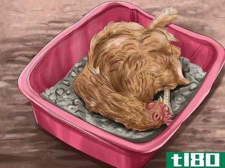 Image titled Build a Chicken Friendly Garden Step 10