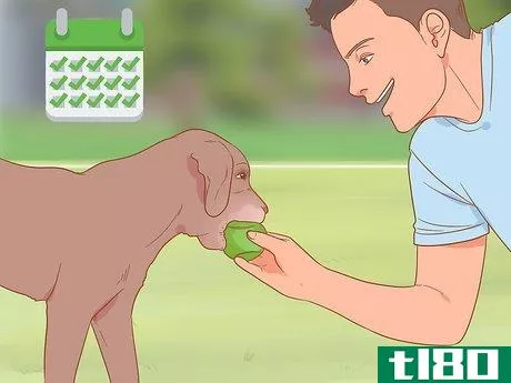 Image titled Be Nice to Your Pets Step 4