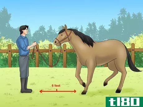 Image titled Calm Your Hot Horse Step 5