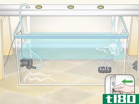 Image titled Build a Hydroponics System Step 21