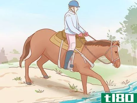 Image titled Avoid Injuries While Falling Off a Horse Step 25