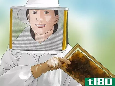 Image titled Become a Beekeeper Step 11