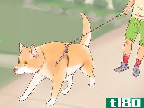 Image titled Be Nice to Your Pets Step 12