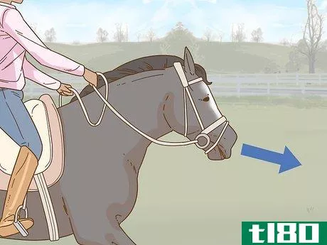 Image titled Calm Your Horse Down Quickly Step 8
