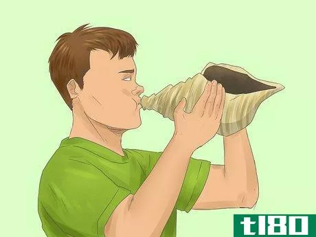 Image titled Blow a Conch Shell Step 1