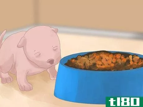 Image titled Care for Newborn Puppies Step 28