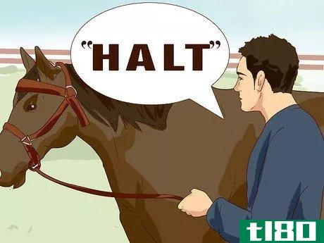 Image titled Break a Horse Step 15