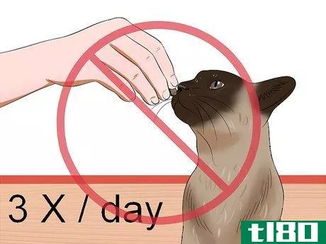 Image titled Care for Burmese Cats Step 13