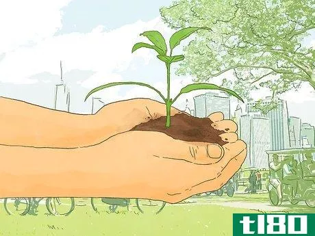 如何成为一个绿色企业(become a green business)