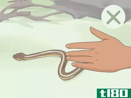 Image titled Avoid Snakes Step 6