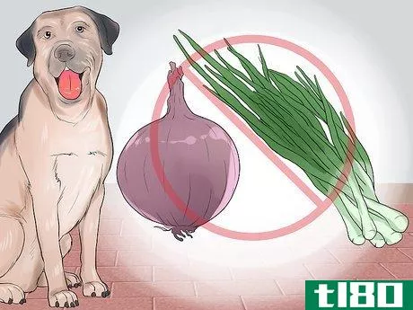 Image titled Avoid Foods Dangerous for Your Dog Step 8