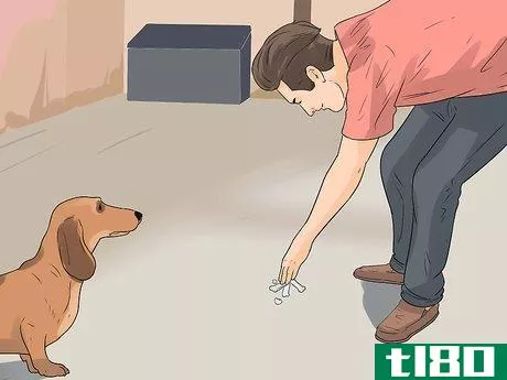 Image titled Catch a Stray Dog Step 5