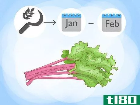 Image titled Buy Rhubarb Step 1