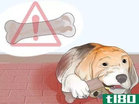 Image titled Avoid Foods Dangerous for Your Dog Step 13