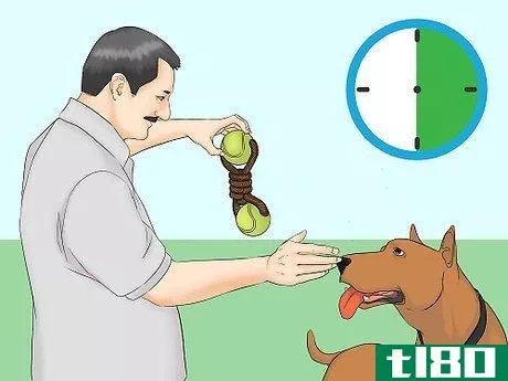 Image titled Be a Good Pet Owner Step 13