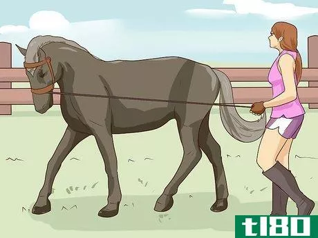 Image titled Break a Horse Step 11