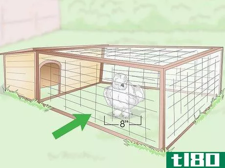 Image titled Care For Silkie Chickens Step 1