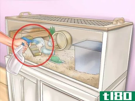 Image titled Care for Roborovski Hamsters Step 9