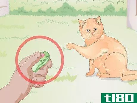 Image titled Buy Pet Training Supplies Step 10