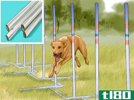 Image titled Design a Dog Agility Course Step 4