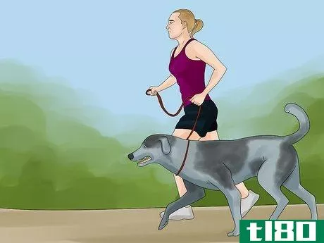 Image titled Avoid Losing Your Dog Step 3
