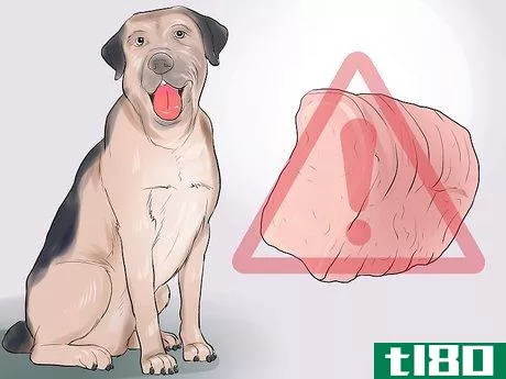 Image titled Avoid Foods Dangerous for Your Dog Step 14