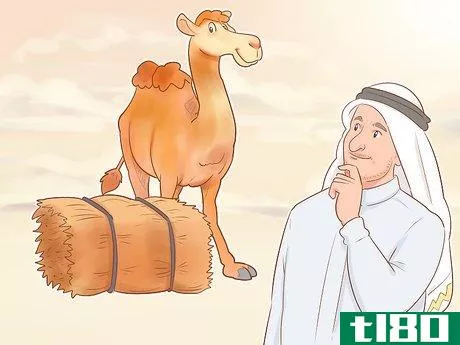 如何买骆驼(buy a camel)