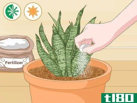 Image titled Care for a Sansevieria or Snake Plant Step 10
