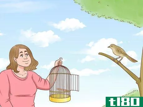 Image titled Catch a Bird Step 11