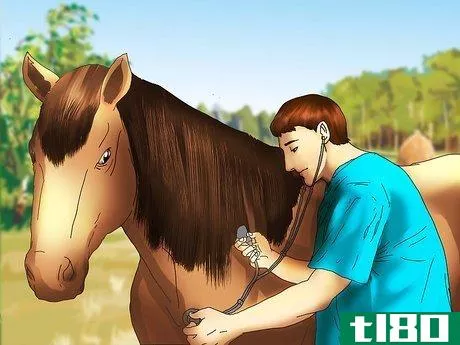 Image titled Care for a Blind Horse Step 7