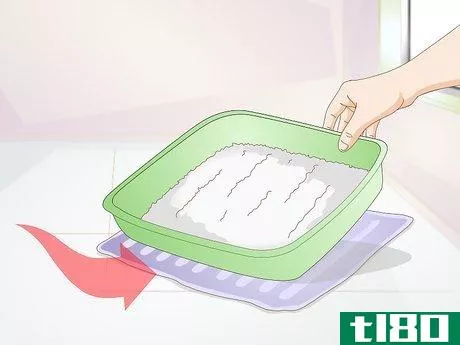 Image titled Avoid Germs when Cleaning a Litter Box Step 15