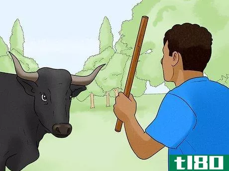 Image titled Avoid or Escape a Bull Step 10
