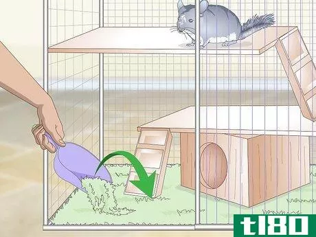 Image titled Care for Chinchillas Step 7