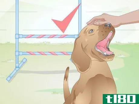 Image titled Build a Dog Agility Jump Step 15