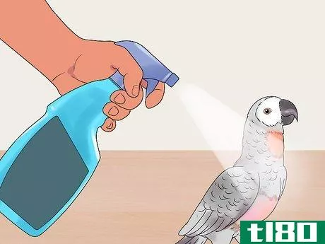 Image titled Care for a Molting Parrot Step 1