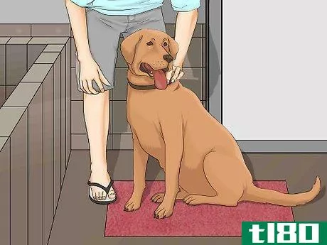 Image titled Bathe a Dog in a Shower Step 9