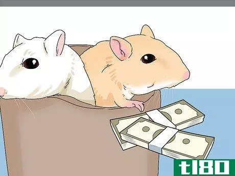 Image titled Buy a Gerbil Step 8