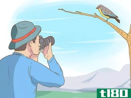 Image titled Bird Watch Step 19