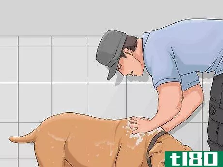 Image titled Bathe a Dog in a Shower Step 12