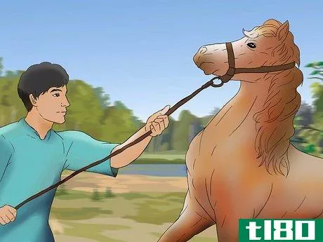 Image titled Care for a Blind Horse Step 13